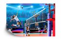 Fototapeta Siatkarki Podczas Meczu Flizelina 208x146 FT-3242-VEXL