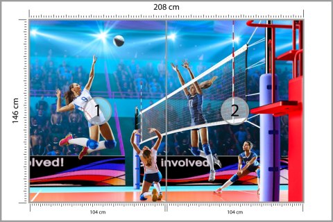 Fototapeta Siatkarki Podczas Meczu Flizelina 208x146 FT-3242-VEXL