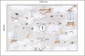 Fototapeta Animals World Map For Kids Wallpaper Design Vinyl Gładki 152.5x104 FT-448497-VGL