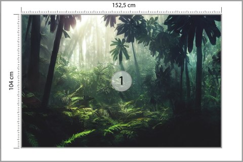 Fototapeta Dark Rainforest, Sun Rays Through The Trees, Rich Jungle Greenery. Atmospheric Fantasy Forest. 3D . Vinyl Gładki 152.