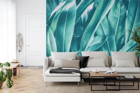 Fototapeta Egzotyczne Liście Vintage Flizelina 208x146 FT-2206-VEXL