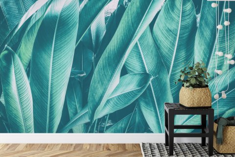 Fototapeta Egzotyczne Liście Vintage Flizelina 208x146 FT-2206-VEXL