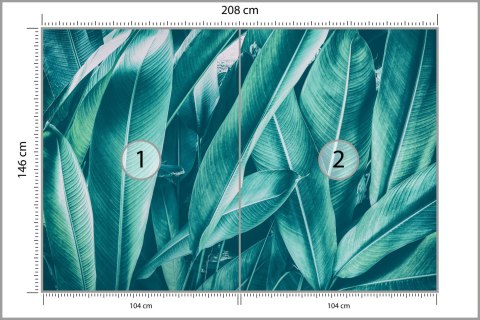 Fototapeta Egzotyczne Liście Vintage Flizelina 208x146 FT-2206-VEXL