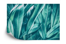Fototapeta Egzotyczne Liście Vintage Vinyl Gładki 152.5x104 FT-2206-VGL