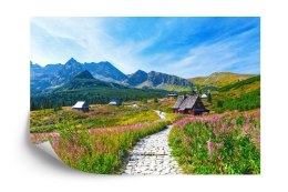 Fototapeta Góry Flizelina 208x146 FT-123-VEXL