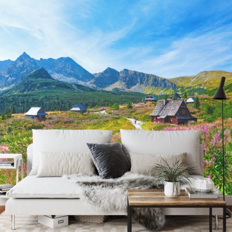 Fototapeta Góry Flizelina 208x146 FT-123-VEXL