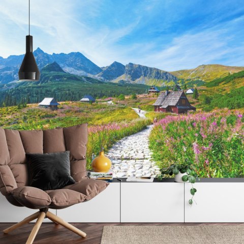 Fototapeta Góry Flizelina 208x146 FT-123-VEXL