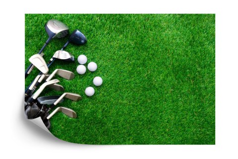 Fototapeta Kije Golfowe Na Flizelina 208x146 FT-3796-VEXL