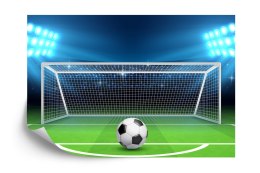 Fototapeta Piłka Na Lini Strzału Karnego Flizelina 208x146 FT-3363-VEXL