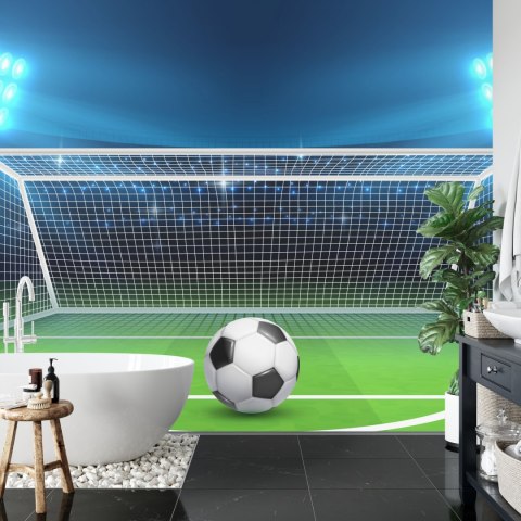 Fototapeta Piłka Na Lini Strzału Karnego Flizelina 208x146 FT-3363-VEXL