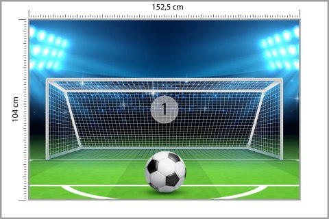 Fototapeta Piłka Na Lini Strzału Karnego Vinyl Gładki 152.5x104 FT-3363-VGL