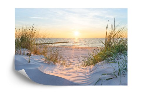 Fototapeta Plaża Morze Wydmy Vinyl Gładki 152.5x104 FT-391-VGL