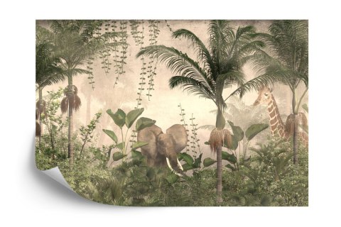 Fototapeta Tropical Trees And Leaves For Digital Printing Wallpaper, Custom Design Wallpaper - 3D Vinyl Gładki 152.5x104 FT-4485