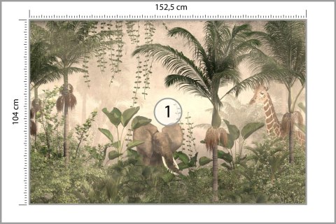 Fototapeta Tropical Trees And Leaves For Digital Printing Wallpaper, Custom Design Wallpaper - 3D Vinyl Gładki 152.5x104 FT-4485
