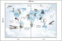 Fototapeta Animals World Map For Kids Wallpaper Design Flizelina 208x146 FT-448532-VEXL
