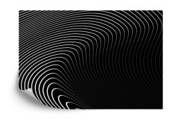 Fototapeta Of The Gray Pattern Of Lines . Eps10. Flizelina 208x146 FT-448542-VEXL