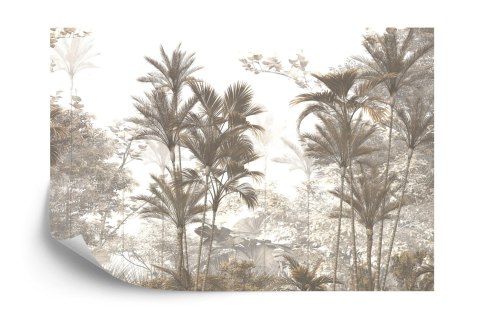 Fototapeta Tropical Trees And Leaves Wallpaper Design In Foggy Forest - 3D Flizelina 208x146 FT-448526-VEXL