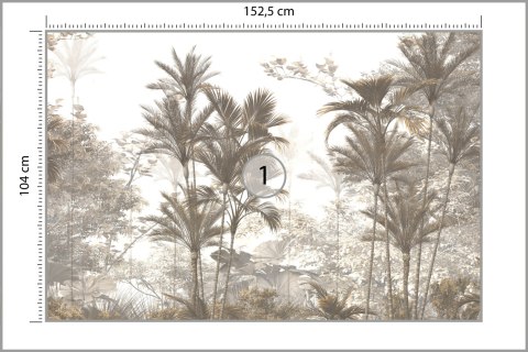 Fototapeta Tropical Trees And Leaves Wallpaper Design In Foggy Forest - 3D Vinyl Gładki 152.5x104 FT-448526-VGL