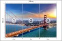 Fototapeta Golden Gate Bridge In San Francisco Vinyl Strukturalny 208x146 FT-448558-VSXL