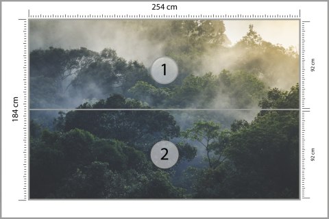 Fototapeta Landscape Of Asia Tropical Rainforest, Canopy Tree Of Jungle Green Forest Park Outdoor, Nature Environment Mountain V