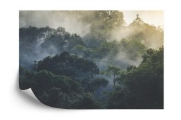 Fototapeta Landscape Of Asia Tropical Rainforest, Canopy Tree Of Jungle Green Forest Park Outdoor, Nature Environment Mountain V