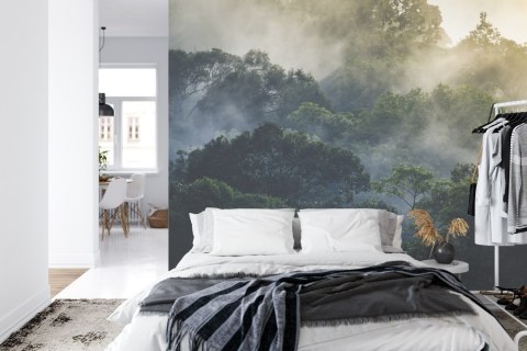 Fototapeta Landscape Of Asia Tropical Rainforest, Canopy Tree Of Jungle Green Forest Park Outdoor, Nature Environment Mountain V