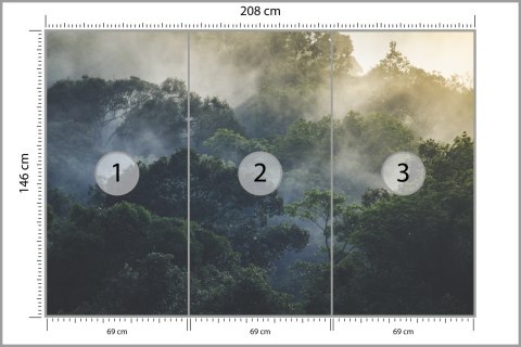 Fototapeta Landscape Of Asia Tropical Rainforest, Canopy Tree Of Jungle Green Forest Park Outdoor, Nature Environment Mountain V