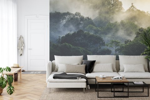 Fototapeta Landscape Of Asia Tropical Rainforest, Canopy Tree Of Jungle Green Forest Park Outdoor, Nature Environment Mountain V