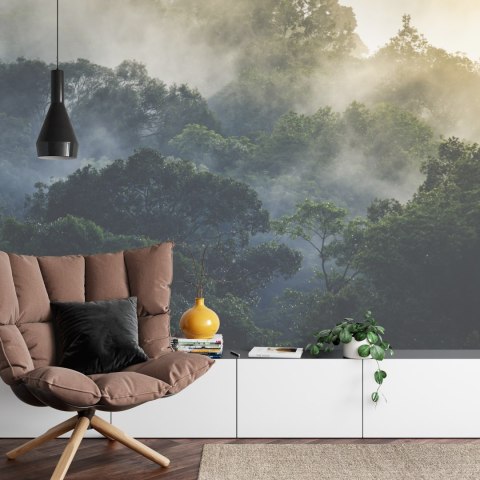 Fototapeta Landscape Of Asia Tropical Rainforest, Canopy Tree Of Jungle Green Forest Park Outdoor, Nature Environment Mountain V