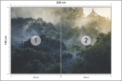Fototapeta Landscape Of Asia Tropical Rainforest, Canopy Tree Of Jungle Green Forest Park Outdoor, Nature Environment Mountain V