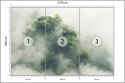 Fototapeta Tropical Forest In Japan, Nature Jungle With Green Tree And Fog, Concept Of Zin Therapy Comfortable Freedom Relaxing 