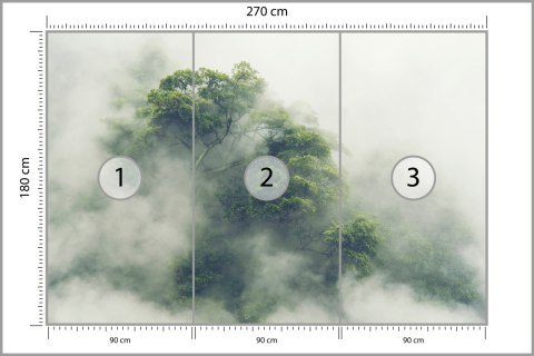 Fototapeta Tropical Forest In Japan, Nature Jungle With Green Tree And Fog, Concept Of Zin Therapy Comfortable Freedom Relaxing 