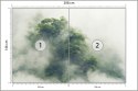 Fototapeta Tropical Forest In Japan, Nature Jungle With Green Tree And Fog, Concept Of Zin Therapy Comfortable Freedom Relaxing 