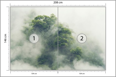 Fototapeta Tropical Forest In Japan, Nature Jungle With Green Tree And Fog, Concept Of Zin Therapy Comfortable Freedom Relaxing 
