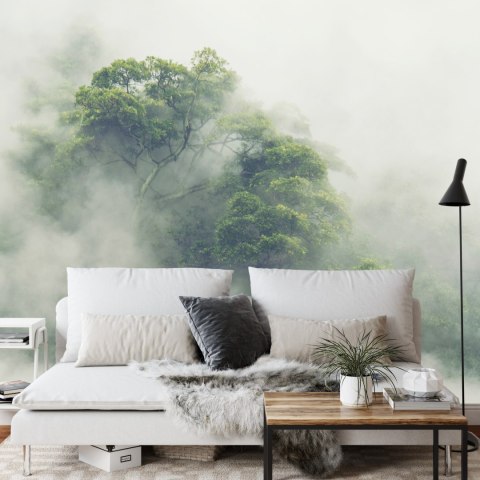 Fototapeta Tropical Forest In Japan, Nature Jungle With Green Tree And Fog, Concept Of Zin Therapy Comfortable Freedom Relaxing 