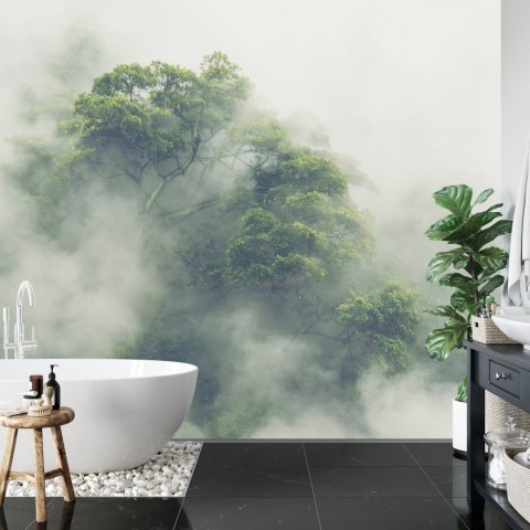 Fototapeta Tropical Forest In Japan, Nature Jungle With Green Tree And Fog, Concept Of Zin Therapy Comfortable Freedom Relaxing 
