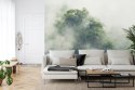 Fototapeta Tropical Forest In Japan, Nature Jungle With Green Tree And Fog, Concept Of Zin Therapy Comfortable Freedom Relaxing 
