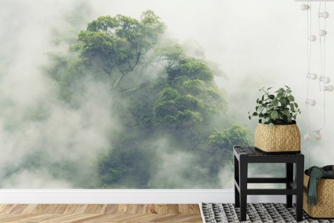 Fototapeta Tropical Forest In Japan, Nature Jungle With Green Tree And Fog, Concept Of Zin Therapy Comfortable Freedom Relaxing 
