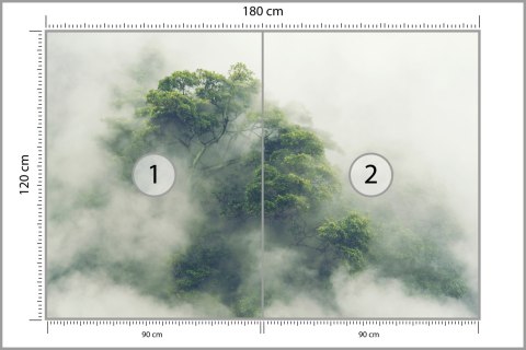 Fototapeta Tropical Forest In Japan, Nature Jungle With Green Tree And Fog, Concept Of Zin Therapy Comfortable Freedom Relaxing 