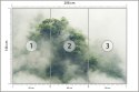 Fototapeta Tropical Forest In Japan, Nature Jungle With Green Tree And Fog, Concept Of Zin Therapy Comfortable Freedom Relaxing 