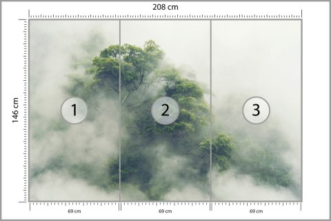 Fototapeta Tropical Forest In Japan, Nature Jungle With Green Tree And Fog, Concept Of Zin Therapy Comfortable Freedom Relaxing 