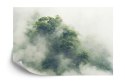Fototapeta Tropical Forest In Japan, Nature Jungle With Green Tree And Fog, Concept Of Zin Therapy Comfortable Freedom Relaxing 