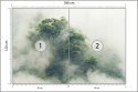 Fototapeta Tropical Forest In Japan, Nature Jungle With Green Tree And Fog, Concept Of Zin Therapy Comfortable Freedom Relaxing 