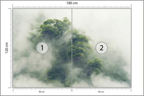 Fototapeta Tropical Forest In Japan, Nature Jungle With Green Tree And Fog, Concept Of Zin Therapy Comfortable Freedom Relaxing 