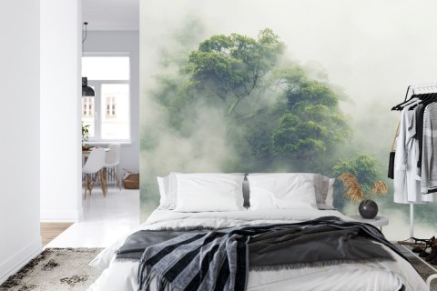 Fototapeta Tropical Forest In Japan, Nature Jungle With Green Tree And Fog, Concept Of Zin Therapy Comfortable Freedom Relaxing 