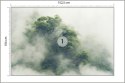 Fototapeta Tropical Forest In Japan, Nature Jungle With Green Tree And Fog, Concept Of Zin Therapy Comfortable Freedom Relaxing 