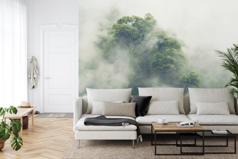 Fototapeta Tropical Forest In Japan, Nature Jungle With Green Tree And Fog, Concept Of Zin Therapy Comfortable Freedom Relaxing 