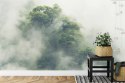 Fototapeta Tropical Forest In Japan, Nature Jungle With Green Tree And Fog, Concept Of Zin Therapy Comfortable Freedom Relaxing 