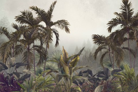 Fototapeta Tropical Trees And Leaves For Digital Printing Wallpaper, Custom Design Wallpaper - 3D Flizelina 208x146 FT-448568-VE