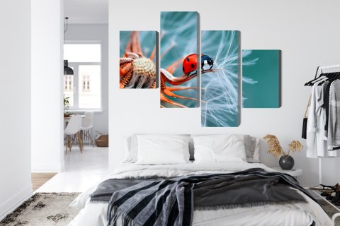 Obraz Wieloczęściowy Biedronka Na Mniszku Lekarskim W Skali Makro Canvas 120x75 LBS-3646-C120-75_2X30-75_2X30-45